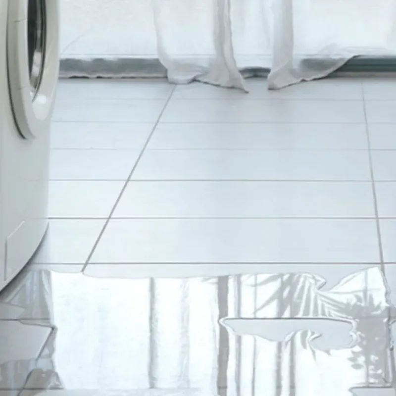 Appliance Leak Cleanup in Wayne, WV